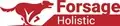 FORSAGE HOLISTIC