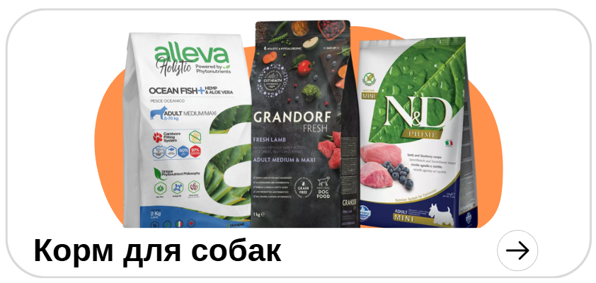 Корм для собак