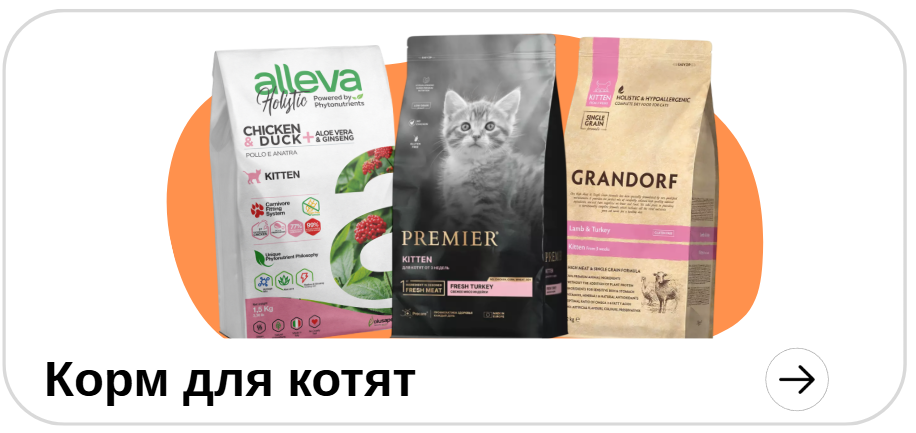 Для котят