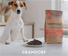 Обзор кормов Grandorf для собак