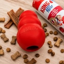  13 необычных способов использовать игрушку KONG