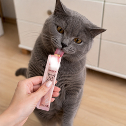 Лучшие лакомства для кошек