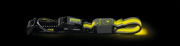 Ошейник Hunter LED Manoa Glow S (45-50) / 2,5 см 93106