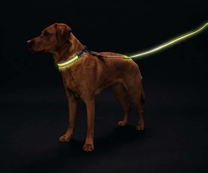 Поводок Hunter LED Manoa Glow 30 / 120 см 93109