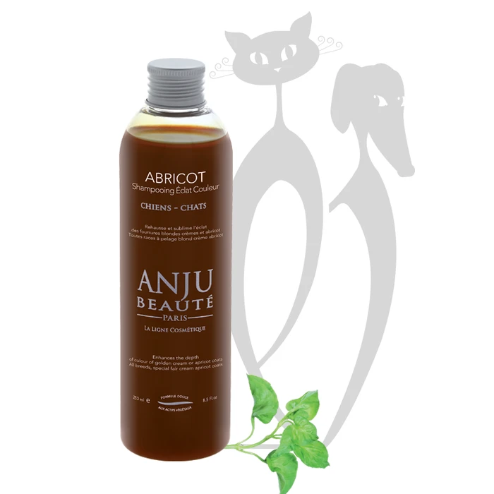 Шампунь-концетрат Anju Beaute  Переливы Кремового, Золотистого и Персиковых окрасов  (Abricot Shampooing), 1:5