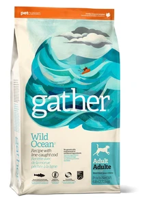 {{photo.Alt || photo.Description || 'Органический Беззерновой сухой корм GATHER Wild Ocean Fish DF для собак с океанической рыбой'}}