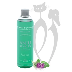 {{photo.Alt || photo.Description || 'Шампунь-концетрат для собак и кошек Anju Beaute Очищающий и Антисептический: камфора и корень лопуха Purifiant Camphre Shampooin'}}
