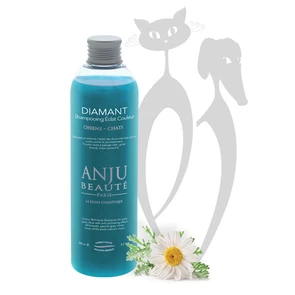 {{photo.Alt || photo.Description || 'Шампунь-концетрат Anju Beaute Сияние Серого и голубых окрасов (Diamant Shampooing), 1:5'}}