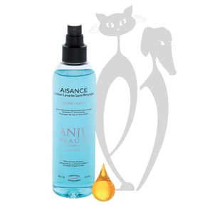 {{photo.Alt || photo.Description || 'Шампунь Anju Beaute Без Смывания - срочный уход (Aisance Cleanser), 1:1 (AN95), 0.25'}}