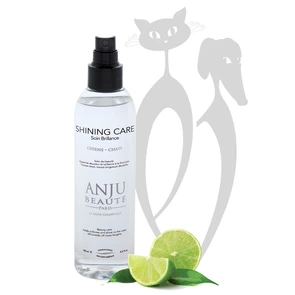{{photo.Alt || photo.Description || 'Спрей Anju Beaute Ультра-Блеск (Brilliance Shining Spray) (AN910), 0.15'}}