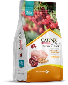 Сухой корм CARNI LIFE для щенков всех пород курица с гранатом и клюквой CARNI LIFE Puppy