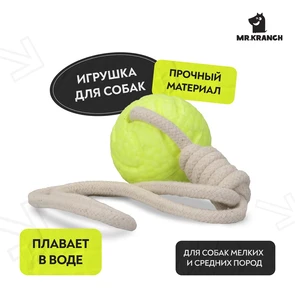 {{photo.Alt || photo.Description || 'Мяч для собак малых и средних пород Mr.Kranch на кольцевом шнуре 6 см неоновый желтый'}}