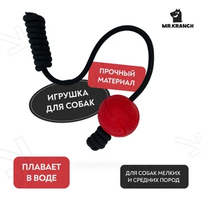 {{photo.Alt || photo.Description || 'Мяч для собак малых и средних пород Mr.Kranch на шнуре 6 см красный'}}