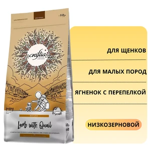 {{photo.Alt || photo.Description || 'Сухой корм CRAFTIA NATURA для щенков миниатюрных и мелких пород из ягненка с перепелкой (LAMB WITH QUAIL PUPPY TOY &amp; SMALL BREED)'}}