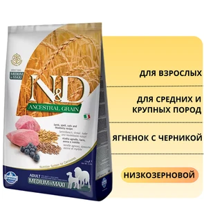 {{photo.Alt || photo.Description || 'Низкозерновой cухой корм FARMINA ND для взрослых собак средних и крупных пород с ягненком и черникой'}}