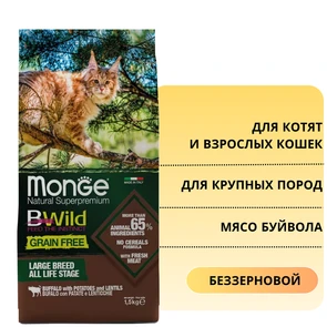 {{photo.Alt || photo.Description || 'Беззерновой сухой корм Monge BWild для котят и кошек крупных пород с мясом буйвола (BWild Grain Free Large Breed Cat All Life Stage Buffalo, potatoes &amp; lentils)'}}
