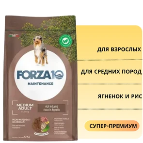 {{photo.Alt || photo.Description || 'Сухой корм Forza10 Maintenance для взрослых собак средних пород с ягненком и рисом Medium Adult'}}