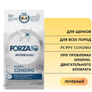 {{photo.Alt || photo.Description || 'Сухой корм Forza10 Active Puppy Condro для щенков всех пород с проблемами опорно-двигательного аппарата'}}