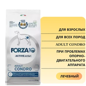 {{photo.Alt || photo.Description || 'Сухой корм Forza10 Active Adult Condro для взрослых собак всех пород при проблемах опорно-двигательного аппарата'}}