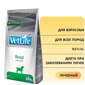 {{photo.Alt || photo.Description || 'Сухой корм FARMINA VET LIFE RENAL для собак диета при заболеваниях почек'}}