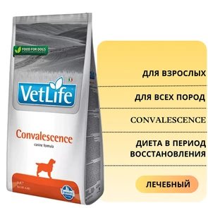 {{photo.Alt || photo.Description || 'Сухой корм FARMINA VET LIFE CONVALESCENCE для собак диета в период восстановления'}}
