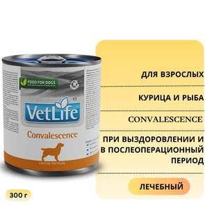 {{photo.Alt || photo.Description || 'Консервы FARMINA VETLIFE NATURAL DIET DOG CONVALESCENCE для взрослых собак всех пород с курицей и рыбой диета при выздоровлении и в послеоперационный период'}}