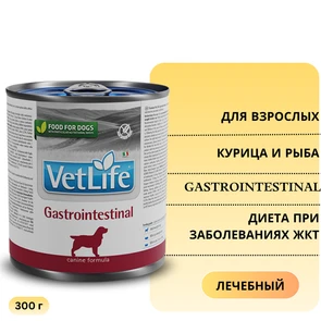 {{photo.Alt || photo.Description || 'Консервы FARMINA VETLIFE NATURAL DIET DOG GASTROINTESTINAL для взрослых собак всех пород с курицей и рыбой диета при заболеваниях ЖКТ'}}