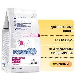 {{photo.Alt || photo.Description || 'Сухой корм Forza10 Active Intestinal для взрослых кошек при проблемах пищеварения с рыбой'}}