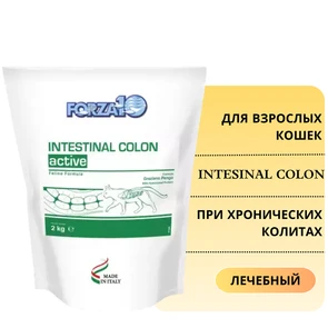 {{photo.Alt || photo.Description || 'Сухой корм Forza10 Active Intesinal Colon для взрослых кошек с хроническими колитами'}}