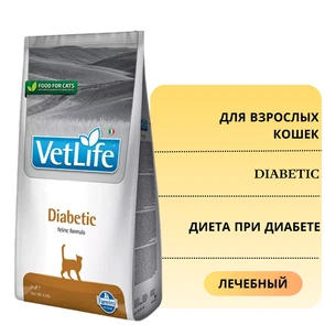 {{photo.Alt || photo.Description || 'Сухой корм FARMINA VET LIFE DIABETIC для кошек диета при диабете'}}