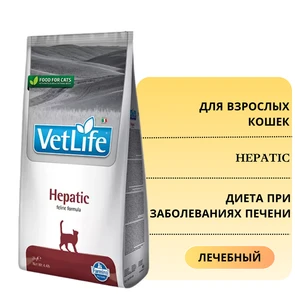 {{photo.Alt || photo.Description || 'Сухой корм FARMINA VET LIFE Hepatic для кошек диета при заболеваниях печени'}}