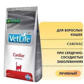 {{photo.Alt || photo.Description || 'Сухой корм FARMINA VET LIFE CARDIAC для кошек диета при сердечно-сосудистых заболеваниях'}}