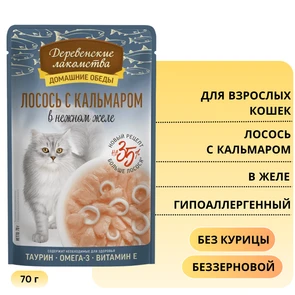 {{photo.Alt || photo.Description || 'Пауч для кошек Деревенские лакомства Лосось с кальмаром в нежном желе'}}