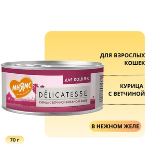 {{photo.Alt || photo.Description || 'Консервы Мнямс для кошек Курица с ветчиной в нежном желе'}}