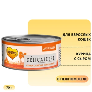 {{photo.Alt || photo.Description || 'Консервы Мнямс для кошек Курица с Сыром в нежном желе'}}