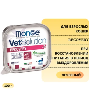 {{photo.Alt || photo.Description || 'Консервы Monge VetSolution для кошек при восстановлении питания в период выздоровления Cat Recovery'}}