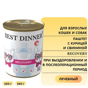 {{photo.Alt || photo.Description || 'Консервы Best Dinner Vet Profi для кошек и собак с курицей и свининой диета при выздоровлении и в послеоперационный период Recovery'}}