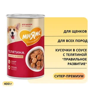 {{photo.Alt || photo.Description || 'Консервы МНЯМС для щенков всех пород Кусочки в соусе с телятиной "Правильное развитие"'}}