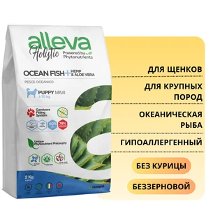 {{photo.Alt || photo.Description || 'Беззерновой сухой корм Alleva Holistic для щенков крупных пород с океанической рыбой (Puppy/Junior Ocean Fish Maxi)'}}