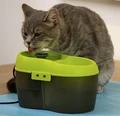 Автопоилка-фонтан для кошек и мелких собак Feed-Ex CatH2O с функцией гигиены PW-02