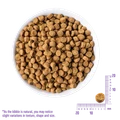 Беззерновой сухой корм WELLNESS CORE для взрослых кошек с индейкой и курицей Original Adult Cat Turkey with Chicken Recipe W10723