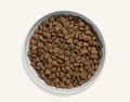 Беззерновой сухой корм Canagan для котят и кошек с уткой, олениной и кроликом Grain Free Country Game for Cats 100.230