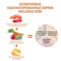 Беззерновой сухой корм WELLNESS CORE для собак мелких пород с лососем и тунцом Small Breed Ocean Salmon with Tuna Recipe W10739