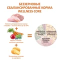 Беззерновой сухой корм WELLNESS CORE для взрослых собак средних и крупных с индейкой и курицей Original Dog Turkey with Chicken Recipe W10749