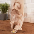 Витаминизированное лакомство GimCat Malt Kiss для кошек для вывода шерсти 427003