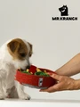 Развивающая игрушка для собак мелких и средних пород Mr.Kranch Нюхательный коврик "Пицца" 18 x 18 см MKR512236