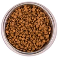Сухой корм MONGE для котят с форелью Monoprotein Kitten Trout 70005470