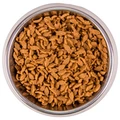 Сухой корм MONGE для взрослых кошек с лососем Monoprotein Adult Cat salmon 70005487