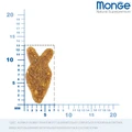 Сухой корм MONGE для взрослых кошек с лососем Monoprotein Adult Cat salmon 70005487