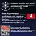 Консервы PRIME EVER SUPERIOR для взрослых собак всех пород с ягненком и клюквой 157109